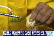 مصرف بیش از 4 میلیون دز واکسن در صنعت طیور گوشتی شهرستان قاینات